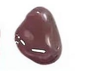 Velvet Cocoa Lip Tint Serum